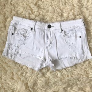 White Bullhead Shorts